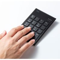 サンワサプライ 静音ワイヤレステンキー NT-WL23BK 1個（直送品）