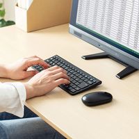 サンワサプライ マウス付きワイヤレスキーボード SKB-WL32SETBK 1個