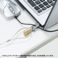 サンワサプライ eセキュリティ(nanoSaverスロット対応取付け部品) SLE-22P 1個（直送品）