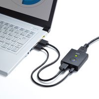 サンワサプライ 4K対応HDMI手元ON/OFFスイッチ SW-HDMI 1個（直送品）