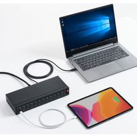 USBハブ　USB2.0　USB-C　Type-C×12　USBポート　USB-2THCS12　サンワサプライ　1個（直送品）