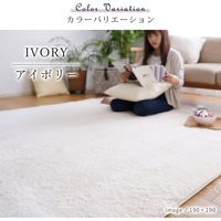 トシシミズ MS303 トシシミズ ラグ 1300×1900mm アイボリー 4560254116163 1枚（直送品）