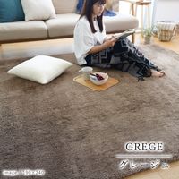 トシシミズ MS303 トシシミズ ラグ 1900×1900mm グレージュ 4560254116422 1枚（直送品）