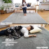 トシシミズ MS303 トシシミズ ラグ 1900×2400mm グレー 4560254116552 1枚（直送品）