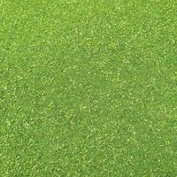 TTC ジオラマパウダー 薄緑 40-0331 1セット（10袋）（直送品）