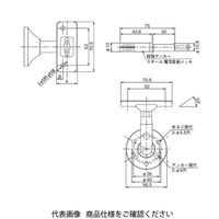杉田エース フリーハンドDブラケットD60 42.7 木ねじ 222556 1個（直送品）