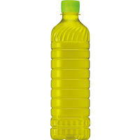 サントリー 緑茶 伊右衛門 600ml ラベルレスボトル 1箱（24本入）