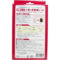 中国ハーブ いきいき樹液シート 徳用 30枚セット　30枚入×3セット 東京企画販売（直送品）