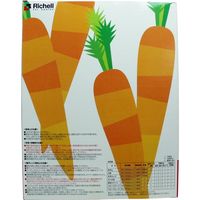 リッチェル スヌーピー ベビー食器セット SY-2 1セット入×3セット（直送品）