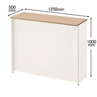 プラス スチールカウンター 抗ウィルス ハイカウンター 幅1250×奥行500×高さ1000mm 1台（2梱包）（取寄品）