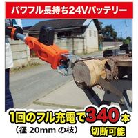Yard Force YARDFORCE 24V・3mコードレス高枝電動鋸ライト LSC21P-JP 1セット（直送品）