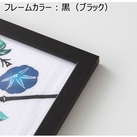 やまもく 手ぬぐい額 黒 2000031 1台