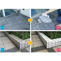 エスティームジャパン 玄関タイル専用 汚れトレPON! 300g スプレートリガー付き EJ-001 1本