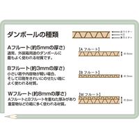 ジョインテックス ダンボール箱 特小10枚 B018J-SS 1パック（直送品）