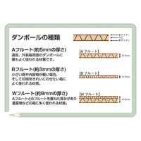 ジョインテックス ダンボール箱 特大10枚 B023J-3L 1パック（直送品）