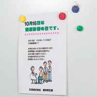 ジョインテックス 強力カラーマグネット 塗装18mm 黄 B272J-Y 1箱（直送品）