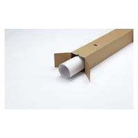 ジョインテックス 方眼模造紙 50枚巻白 P150J-W 1箱（直送品）