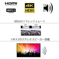 JAPANNEXT（ジャパンネクスト） 43インチ4K液晶モニター JN-HDR430IPS4K 大型モニター 1台