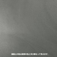 ターナー色彩 アイアンペイント Aシルバー 200ML 247676030000 1個（直送品）