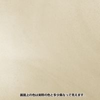 ターナー色彩 アイアンペイント マルチプライマー 200ML 247676060000 1個（直送品）