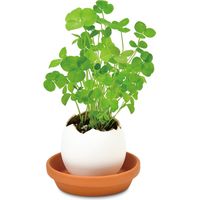 聖新陶芸 聖新 EG-5705 エッグリング クローバー　1個（直送品）