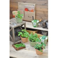 聖新陶芸 聖新 GD-41102 エコット M にんじん 1個（直送品）