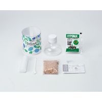 聖新陶芸 聖新 GD-86305 グリーンペット(new) レタス 1個（直送品）