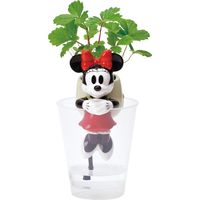 聖新陶芸 聖新 WD-02 グローテール ミニーマウス ストロベリー 1個（直送品）