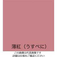 アトムサポート 水性フリーコート 200ML 薄紅(ウスベニ) 4971544231464 1セット(12缶)（直送品）