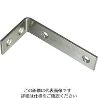ハイロジック Fー843 ステンミニアングル 30×60mm 00016843-001 1セット(2本)（直送品）