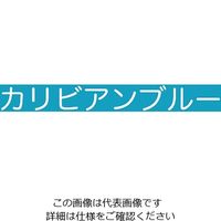 アトムサポート 水性フリーコート 200ML カリビアンブルー 4971544231259 1セット(12缶)（直送品）