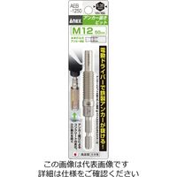 アネックスツール AEBー1250 アンカー抜きビット M12X50 AEB-1250 1パック（直送品）