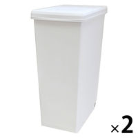 平和工業 スライドペール45Lホワイト 4907556239419 1セット(2個入)