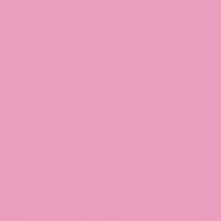 大王製紙 再生色画用紙 8ツ切 10枚 フラミンゴ _ 1冊（直送品）