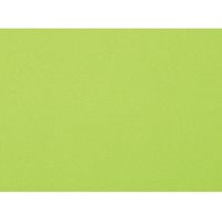 大王製紙 再生色画用紙4ツ切10枚マスカット _ 1包（直送品）