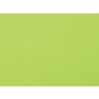 大王製紙 再生色画用紙8ツ切10枚マスカット _ 1包（直送品）