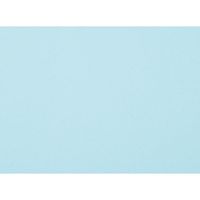 大王製紙 再生色画用紙4ツ切10枚ぞう _ 1包（直送品）