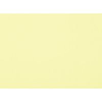 大王製紙 再生色画用紙8ツ切10枚バナナ _ 1包（直送品）