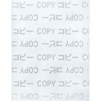 寿堂 コピー偽造防止用紙 A4 1047 100枚　1冊（直送品）