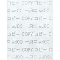 寿堂 コピー偽造防止用紙 A4 1047 100枚*5冊 1047(5) 1箱（直送品）