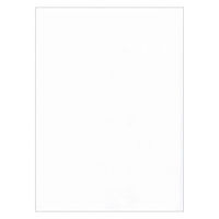 寿堂 コピー偽造防止用紙 A3 1097 100枚 1冊（直送品）