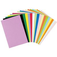 リンテック 色画用紙R 8ツ切 10枚わかくさ 243 1包（直送品）