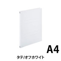 セキセイ のび～るファイル AE-50F オフホワイト10冊 AE-50F-71 1パック（直送品）