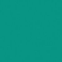 大王製紙 再生色画用紙 ８ツ切 10枚 エメラルド C-41 1冊（直送品）