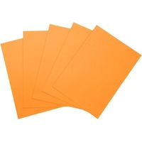 大王製紙 マルチカラー紙 CW-620C A4オレンジ500枚 1冊（直送品）