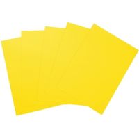 大王製紙 マルチカラー紙 CW-630C B4黄色500枚 1冊（直送品）