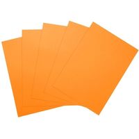 大王製紙 マルチカラー紙 CW-630C B4オレンジ500枚 1冊（直送品）