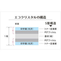 SAKAEテクニカルペーパー 耐水紙エコクリスタル ECO-230-A4 10枚　1冊（直送品）