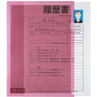 プラス カモフラージュホルダー A4 桃 100枚 FL-127CH-5P 1セット（直送品）