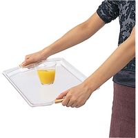 ナチュラルトレー M クリア　1枚 タケヤ化学工業（直送品）